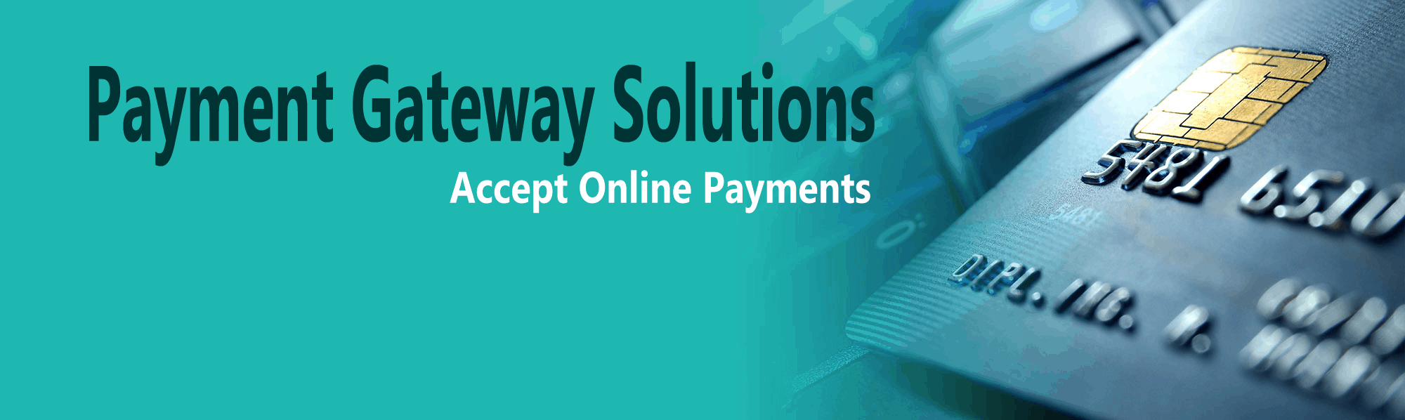 Payment Gateway Integration In Delhi
