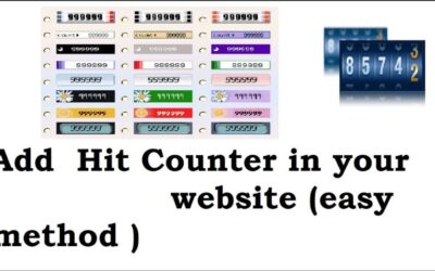 How to intergate visitor counter in your website